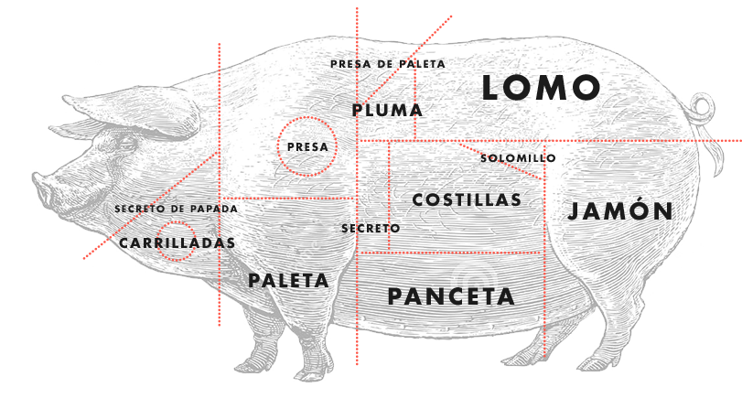 partes del cerdo