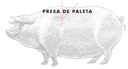 presaPaleta