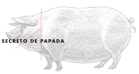 El Cerdo: Secreto de Papada